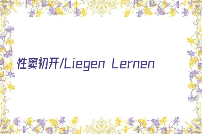 性窦初开/Liegen Lernen剧照